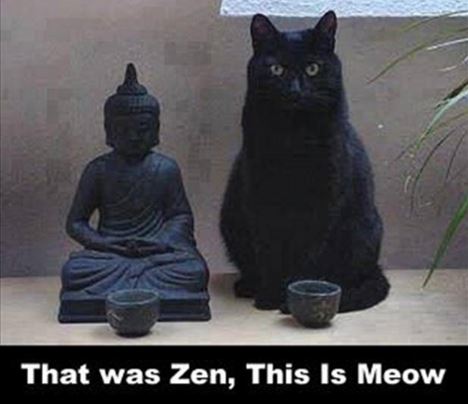 That was Zen this is Meow